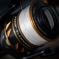 Penn Slammer IV Spinning Reels